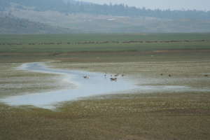 Biodiversity influences resilience or vulnerability to climate change, and contributes to climate mitigation and adaptation. Image of dried wetland, Afnourrir, Morocco. 